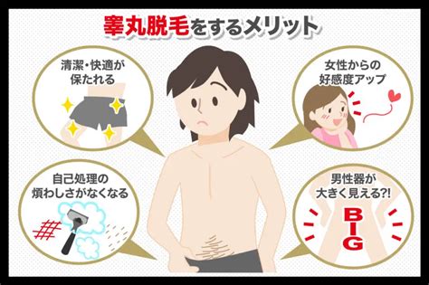 陰部剃毛|男性器（ペニス、睾丸）脱毛｜【公式】男性脱毛のメ 